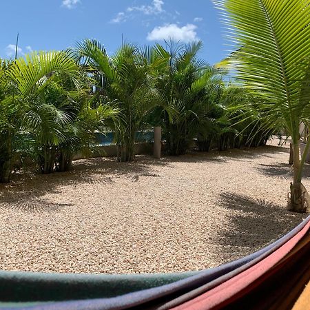 Isla Penthouse & Garden Apartments Bonaire Kralendijk na wyspie Bonaire Zewnętrze zdjęcie