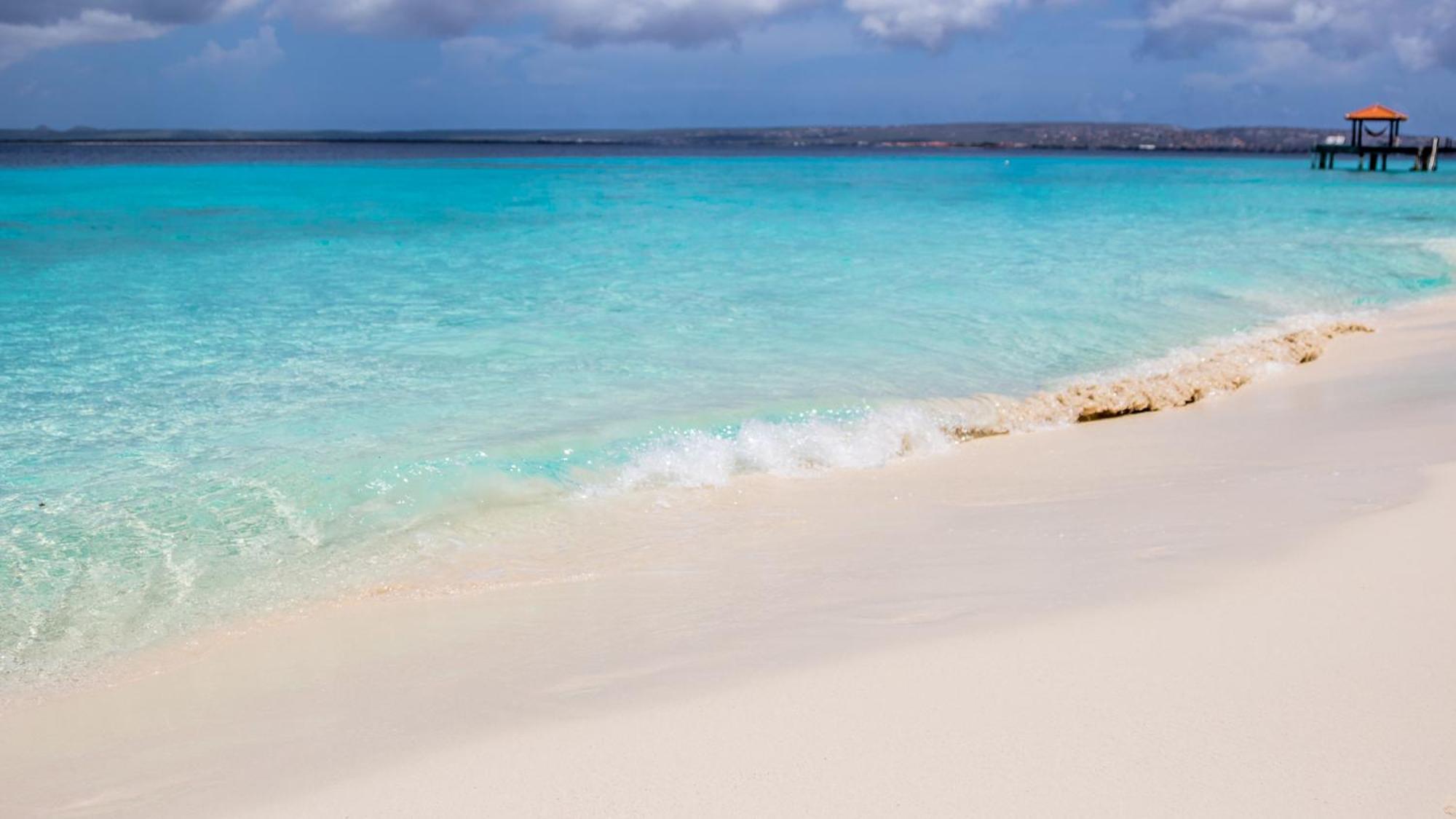 Isla Penthouse & Garden Apartments Bonaire Kralendijk na wyspie Bonaire Zewnętrze zdjęcie