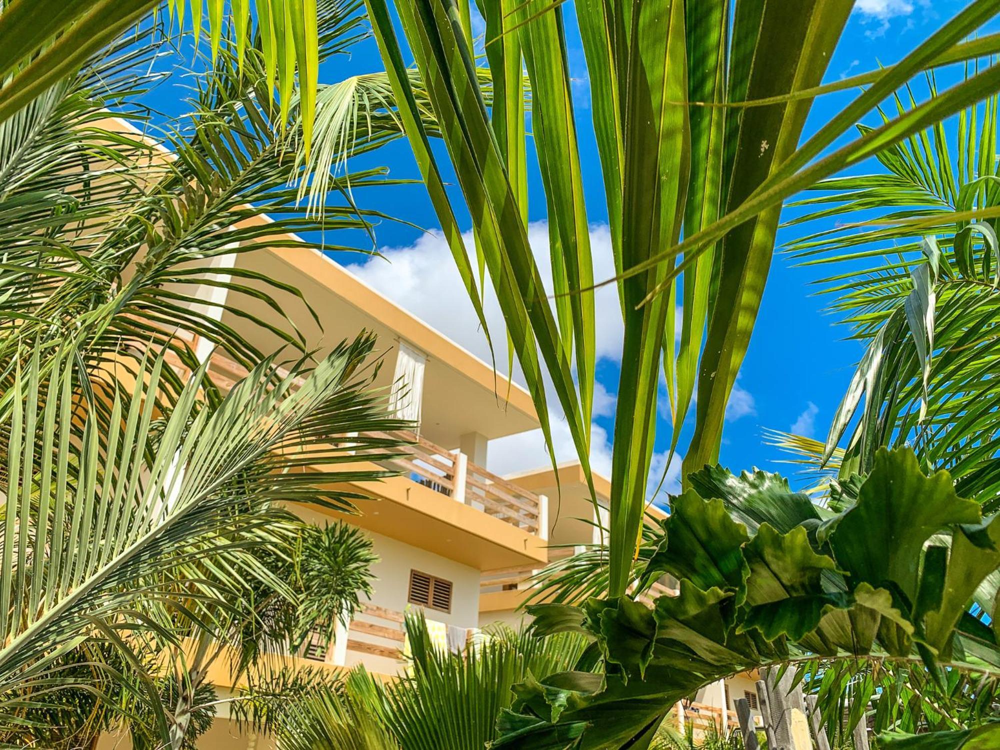 Isla Penthouse & Garden Apartments Bonaire Kralendijk na wyspie Bonaire Zewnętrze zdjęcie