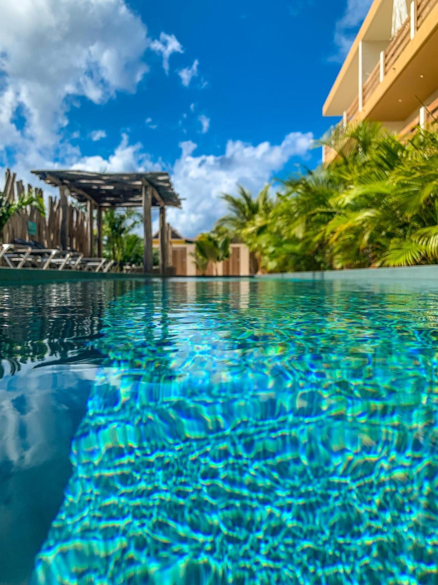 Isla Penthouse & Garden Apartments Bonaire Kralendijk na wyspie Bonaire Zewnętrze zdjęcie
