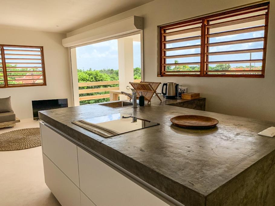 Isla Penthouse & Garden Apartments Bonaire Kralendijk na wyspie Bonaire Zewnętrze zdjęcie