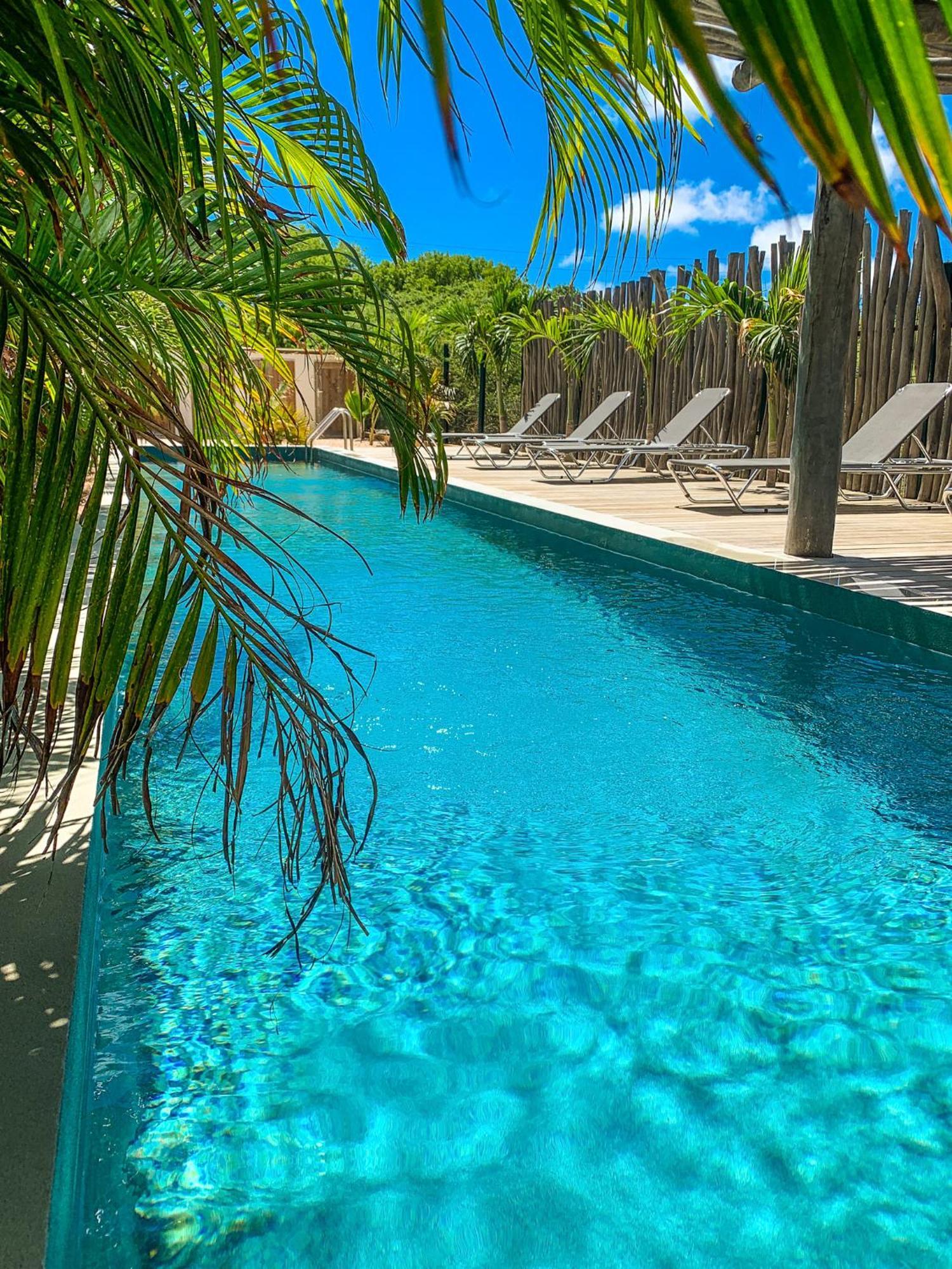 Isla Penthouse & Garden Apartments Bonaire Kralendijk na wyspie Bonaire Zewnętrze zdjęcie